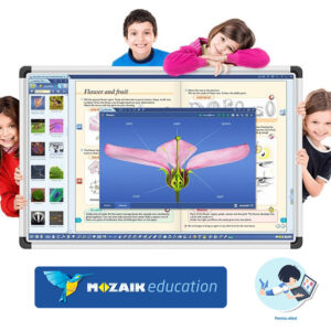 Software Mozaik Student MULTILANG , lectii interactive in timp real, licenta 1 / 1 an