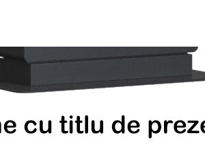 Baza pentru totem exterior EVOBOARD 650ODDLAZ